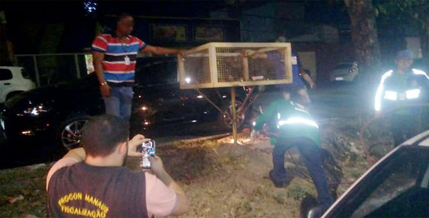 Manaus Mais Limpa Tem A O Noturna E Retira Engenhos Irregulares