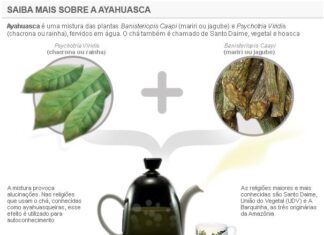 Ingredientes do cha da Ayahuasca