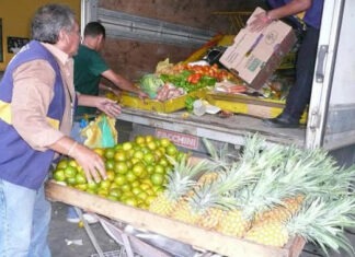 Fiscais municipais recolhem frutas apreendidas/Foto: Divulgação