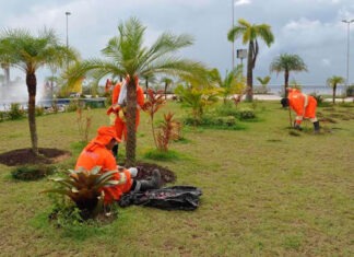 Trabalho de jardinagem serrá conlcuído amanhã, sábado/Foto: Divulgação