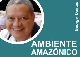 selo-ambiente amazonico