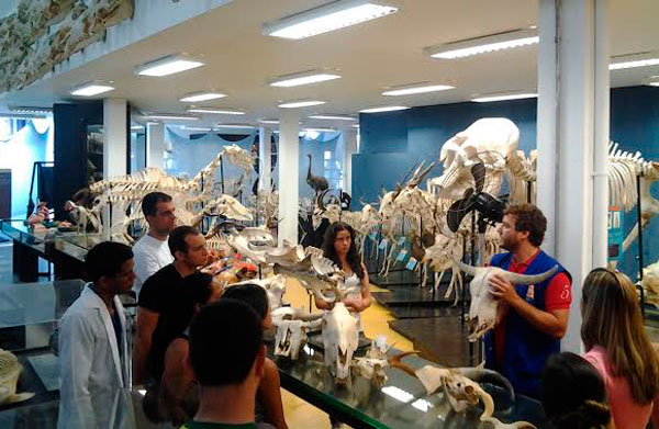 educacao-esbam-veterinaria-06-02-14 Estudantes da ESBAM buscam experiência na USP/Foto: Divulgação