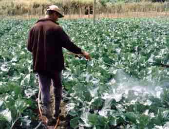 agrotoxico