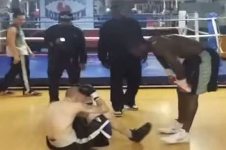 boxeador