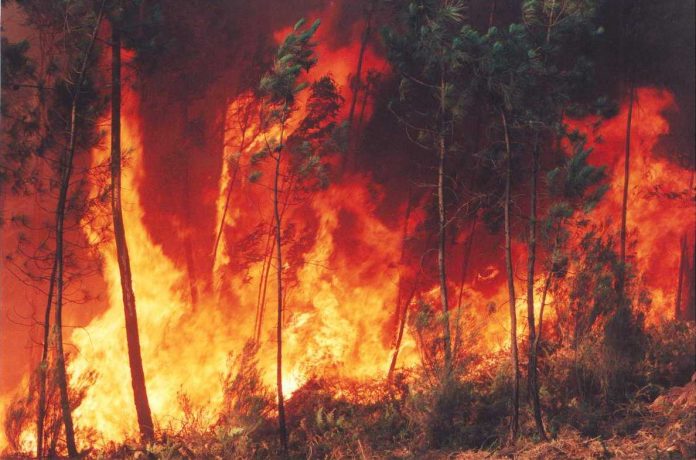 incêndios