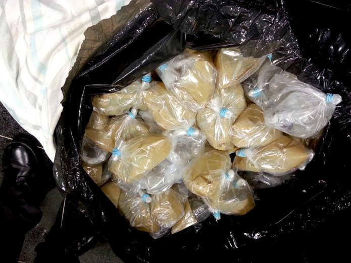 PF apreende carga de peixes ornamentais