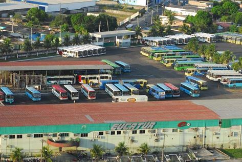ônibus