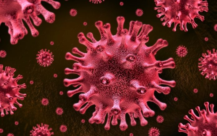 virus