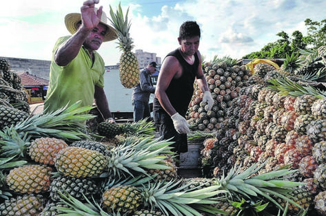 Cidade comemora crescimento da produção agrícola no Brasil