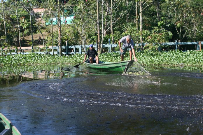 Comitê da Bacia do Puraquequara será instalado