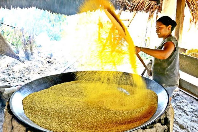 Projeto implementa a produção no interior do Amazoas