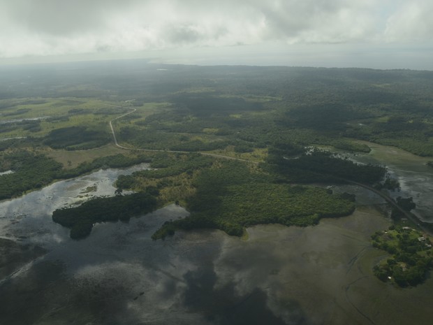 Amapá tem o nemor índice de desmatamento, em 2013