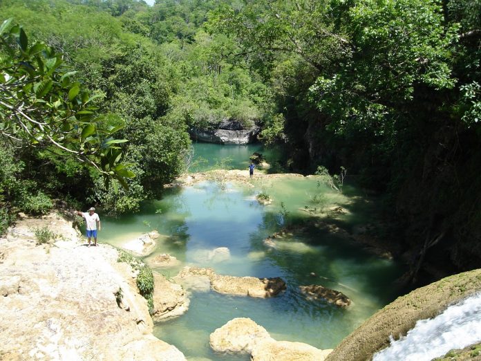 ONGs sugerem programas de sustentabilidde em Mato Grosso