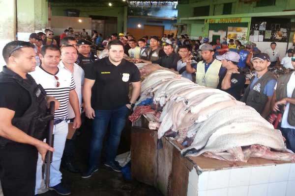 Operação 'Sacrifício Zero'aprende maisd e duas toneladas d e carne, em Coari