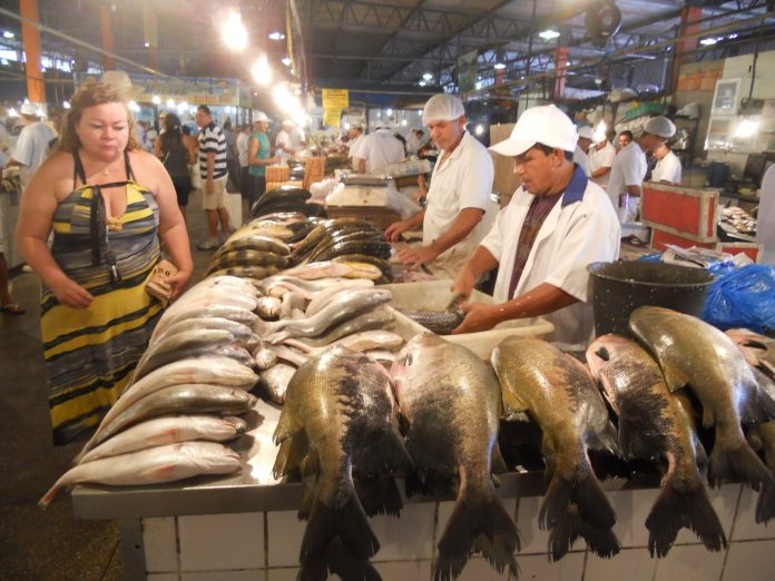 Feirantes de Manaus serão ouvidos pela DPE, sobre TAC firmado com MPE