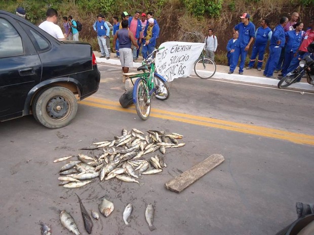 Em protesto moradores interditam rodovia com peixes mortos, no AP