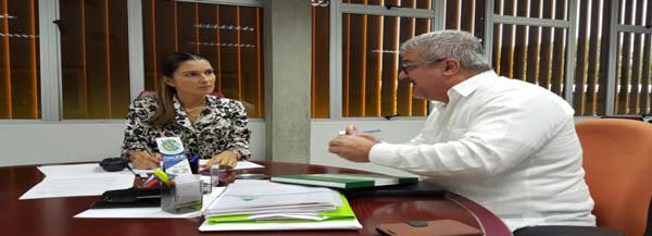 economia-rebecca-consul-fau