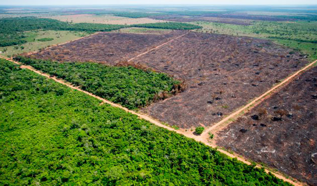 amazonia
