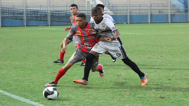 amazonese-juvenil