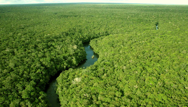 amazonia