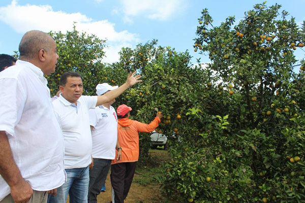 economia-rio-preto-laranja-
