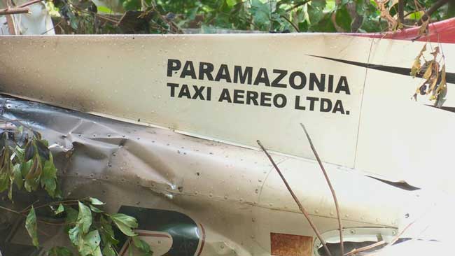 paramazonia