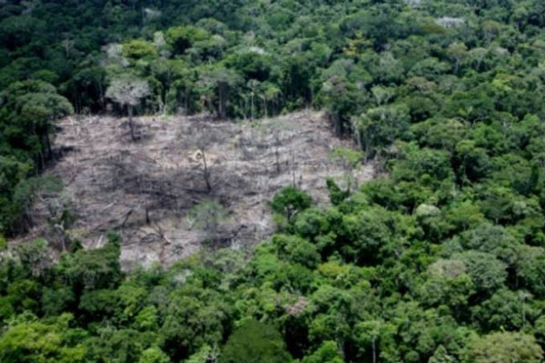 politica-meio-ambiente-desm