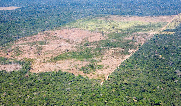 amazonia