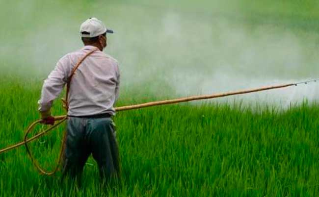 agrotoxicos