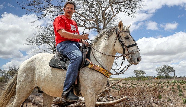 Haddad11