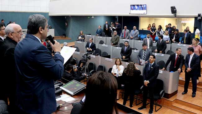 plenario