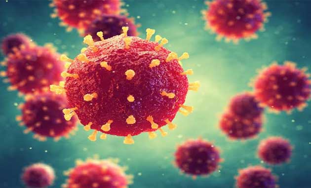 virus