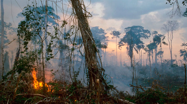 amazonia