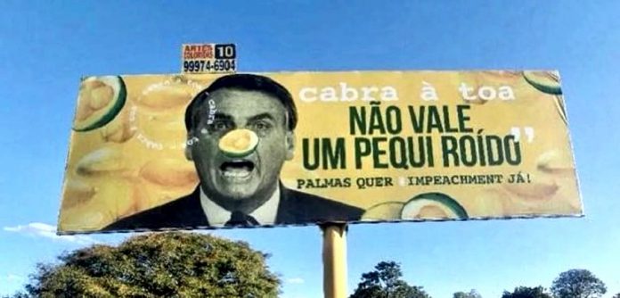 bosonaro1