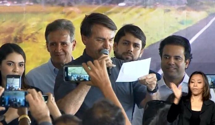 Boiola bolsonaro