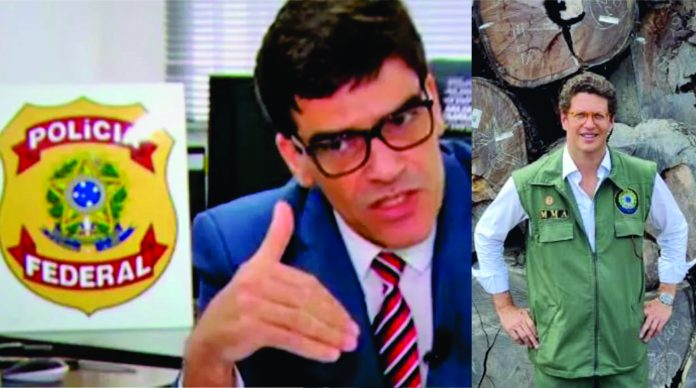 madeireiros