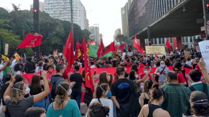 fora bozo