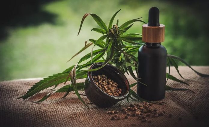 cannabis medicinal