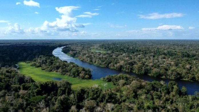 floresta amazônica