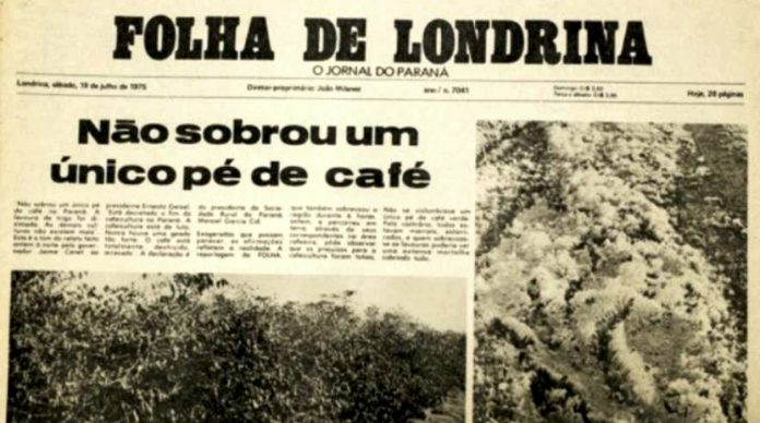 Geada Negra De 1975 E Tema De Live Promovida Por Professores Correio Da Amazonia