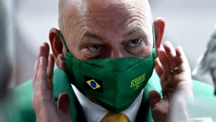 papagaio da Havan