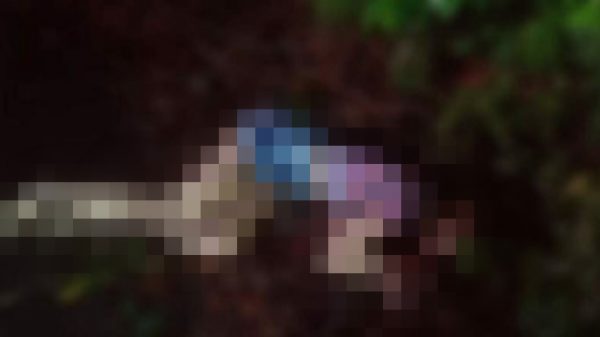 Point Blur_Feb282022_104931