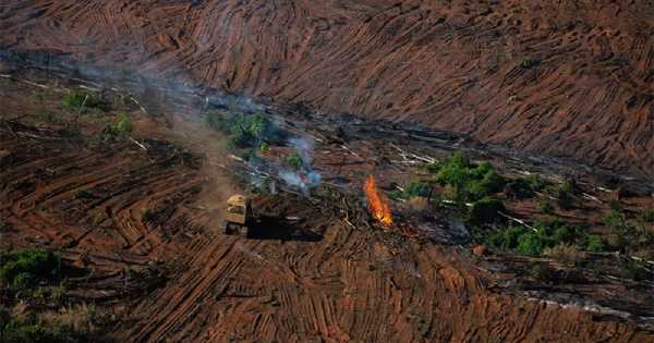 desmatamento-amazonia