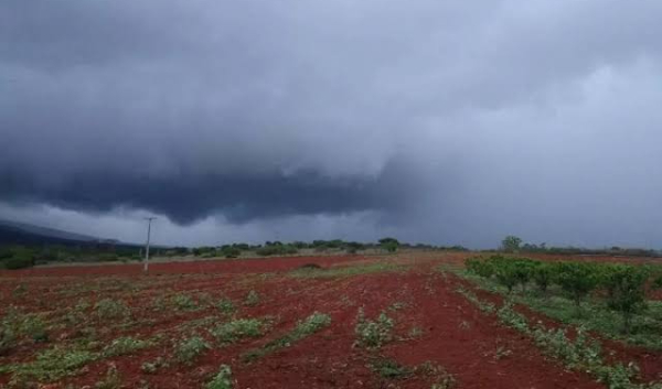 Clima