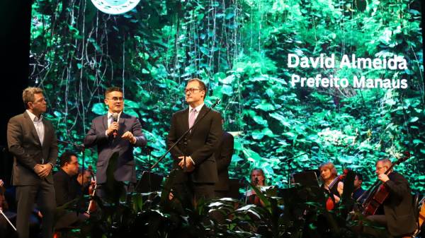 david