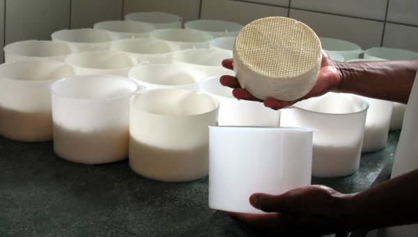 queijo artesanal