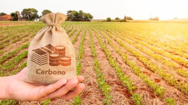 carbono