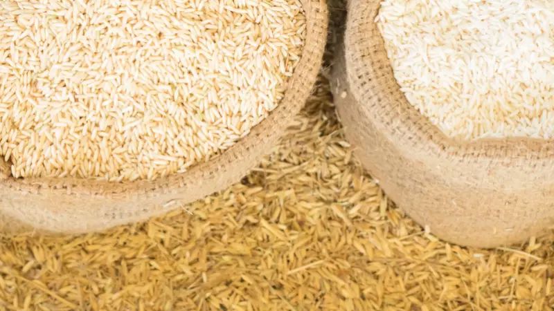 arroz (2)
