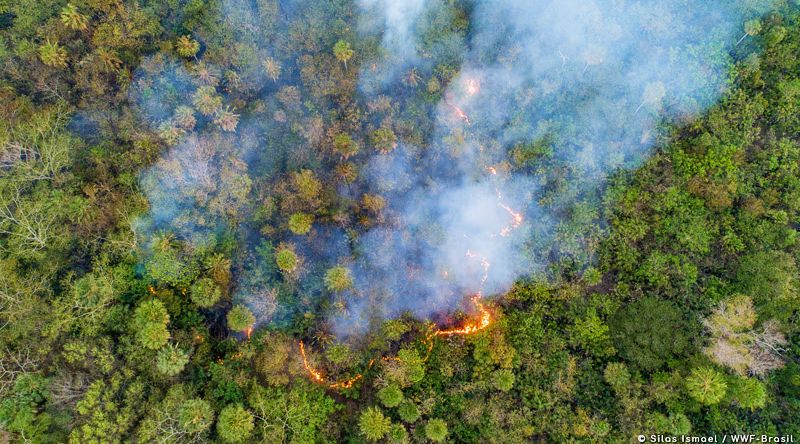 Fires in the state of Mato Grosso do Sul, Brazil. 2020.