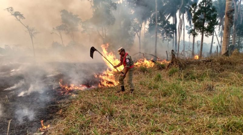 Foto_ Divulgação